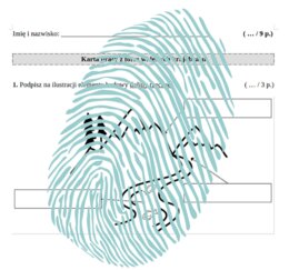 Formy wypukłe i wklęsłe krajobrazu – karty pracy / PRZYRODA klasa 4
