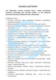 Specjalista WWR – przykładowe wpisy do dziennika | wczesne wspomaganie rozwoju | ponad 150 wpisów