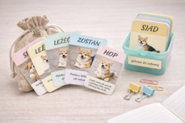 Psie komendy – zabawa ruchowa z kartami