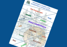 "OPOWIEŚCI Z NARNII. LEW, CZAROWNICA I STARA SZAFA" – puzzle