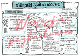 Warunki życia w wodzie -przyroda kl. 4 -wypełniona karta pracy