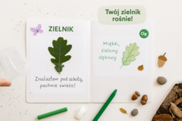 Przyroda budzi się do życia