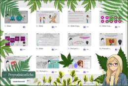 Prezentacja multimedialna w genial.ly „Co warto odwiedzić w sieci?”. Edukacja zdrowotna. Klasa 6. Dział „Moje zdrowie”.