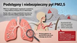 Edukacyjna Sieć Antysmogowa (ESA) – NASK, Czyste powietrze (gazetka szkolna / prezentacja)