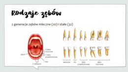 Układ pokarmowy KLASA 2 PODSTAWA BIOLOGIA
