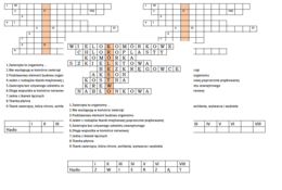Logogryf dla klasy 6 na podsumowanie 1 działu "Świat zwierząt"