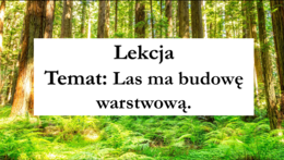 Klasa 4 - Las ma budowę warstwową - prezentacja