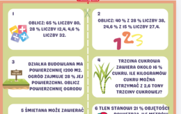 Procenty – 50 zadań z odpowiedziami Klasy 6–8 PDF gotowy do druku