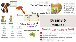 Brainy 6, unit 4, materiały dodatkowe uzupełniające podręcznik