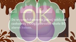 Skąd się bierze czekolada? – Wielka Podróż do Świata Kakao (56 slajdów)