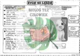 Życie na lądzie - szarość