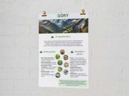 Plakaty o ekosystemach. Las, łąka, jezioro, morze, góry.