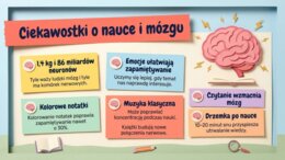 Rozpoczęcie roku szkolnego – prezentacja lub gazetka szkolna
