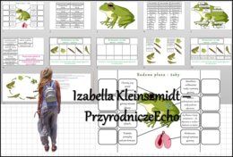 Materiał do zalaminowania/praca w grupach/stacje zadaniowe/układanka/puzzle oraz notatka okienkowa „Budowa żaby”, „Rozwój żaby”. „Płazy - kręgowce środowiska wodno-lądowego” w pdf. Biologia 6, dział „Kręgowce zmiennocieplne”.