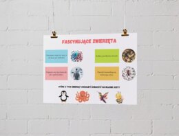 Plakaty z ciekawostkami. Zwierzęta. Rośliny. Ekosystemy. Jak dbać o ziemię?