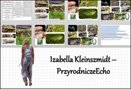 Materiał do zalaminowania/praca w grupach/stacje zadaniowe/układanka/puzzle „Przegląd i znaczenie płazów” w pdf. Biologia 6, dział „Kręgowce zmiennocieplne”.