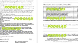 W pustyni i w puszczy - sprawdzian, praca klasowa