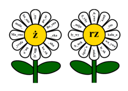 Ortograficzne kwiatki – gra ortograficzna