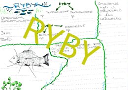 Ryby - sketchnotka