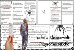 Książeczka/sketchnotka/notatka/wklejka/streszczenie dla ucznia i przypomnienie dla nauczyciela/edukacja domowa/materiał w pigułce. Temat „Pajęczaki – stawonogi, które mają cztery pary odnóży.” w pdf. Biologia 6, dział „Stawonogi i mięczaki”. Nowość 2024/