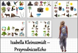 Materiał do wycięcia/wycinanka do notatki „W wilgotnym lesie równikowym i w lasach liściastych i mieszanych” w pdf. Geografia 5, dział „Krajobrazy świata”.