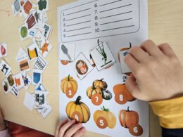 Pakiet LOGOPEDIA - PETARDA!