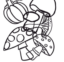 Scenariusz zajęć rewalidacyjnych lub korekcyjno — kompensacyjnych, Bystre Oczko, grzybobranie