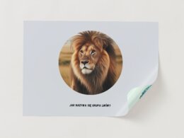 Gra edukacyjna - dopasuj elementy. Zwierzęta i ich środowisko