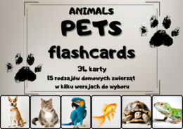 Flashcards - Animals - Pets