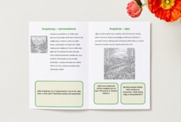 Kolorowanki. Ekolog w terenie. Zwierzęta. Rośliny. Krajobrazy