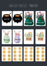 Gra "have got/has got"