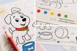 Kolory Reksia – nauka kolorów