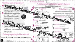 Sketchnotka - notatka „Królestwo zwierząt” wykonana w power point do edycji. Biologia 6; „Świat zwierząt”