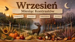 Wrzesień – prezentacja edukacyjna i gazetka szkolna (przyroda, historia i jesień)