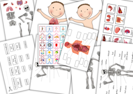 Człowiek - karty pracy