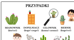 Przypadki - atrakcyjna notatka