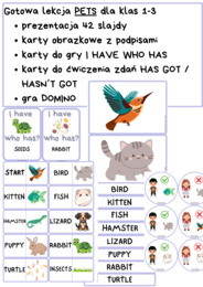 Gotowa lekcja PETS dla klas 1-3. Materiały na ćwiczenia słownictwa oraz mówienia. Prezentacja na wprowadzenie słownictwa + karty do gry i zabaw