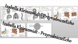 Minizestaw na temat „Budowa i rola szkieletu osiowego” – sketchnotka + karta pracy w power point + gratisowy link do prezentacji multimedialnej niekomercyjnej wykonanej w genial.ly do indywidualnego pobrania i użycia do celów niekomercyjnych. Biologia 7,