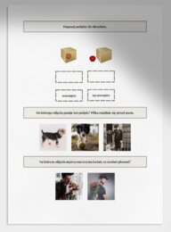 Na, pod, w, za, przed, obok, wewnątrz, na zewnątrz. Karta pracy. Sprawdzian