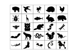 Bingo ortograficzne (24 plansze) format 5x5.