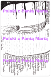 Balladyna - pakiet lekturowy