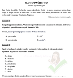 wiedza o języku na egzaminie ósmoklasisty - Zestaw nad Zestawami