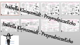 Zestaw sketchnotek i kart pracy + gratisowe linki do prezentacji multimedialnych niekomercyjnych wykonanych w genial.ly do indywidualnego pobrania i użycia do celów niekomercyjnych. Geografia 8, „Obszary okołobiegunowe”
