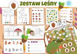Zestaw Leśny