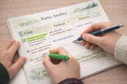 Las jako bohater literacki