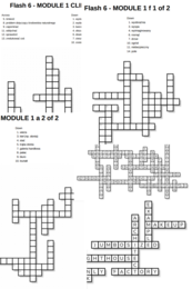 Flash 6 – Module 1 – krzyżówki