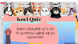 Koci Quiz