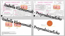 Minizestaw na temat „Budowa i funkcje skóry” – sketchnotka + karta pracy w power point + gratisowy link do prezentacji multimedialnej niekomercyjnej wykonanej w genial.ly do indywidualnego pobrania i użycia do celów niekomercyjnych. Biologia 7, „Organizm