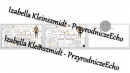 Minizestaw na temat „Aparat ruchu. Budowa szkieletu” – sketchnotka + karta pracy w power point + gratisowy link do prezentacji multimedialnej niekomercyjnej wykonanej w genial.ly do indywidualnego pobrania i użycia do celów niekomercyjnych. Biologia 7, „