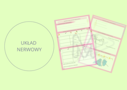 Budowa i rola układu nerwowego